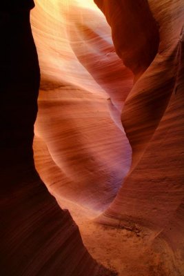 g6/90/666290/3/75700967.h7cgnJx6.jpg