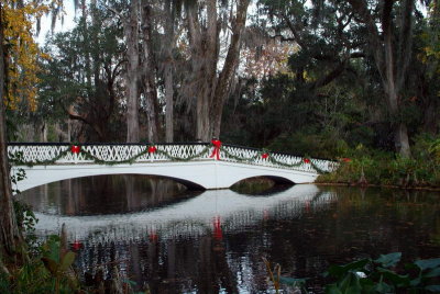 The Long Bridge Ready for Christmas