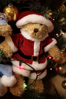 Santa Bear