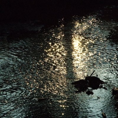 BABBLING BROOK