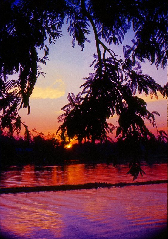 scan0067pb.bmp