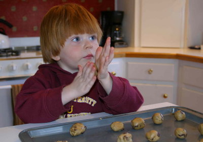The Cookie Cook ...