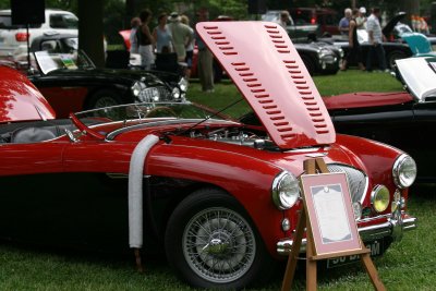 1956 Austin Healey