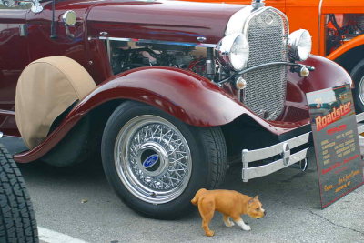 Ooooops ... No Way to Treat a 1931 Ford Roadster