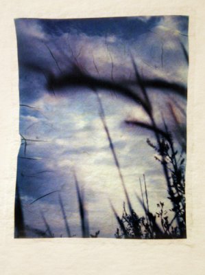 Polaroid Emulsion Transfers