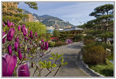 Japanese Garden