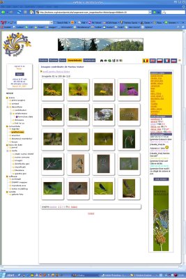 Invertebrate Image Collection