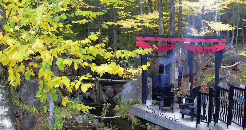 La maison sous les arbres...