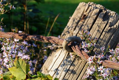 A symbolic fence...