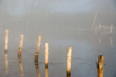 Misty Docks