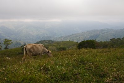 Costa Rica - Rancho_5900