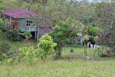 House in the middle of nowhere-Costa Rica_5909