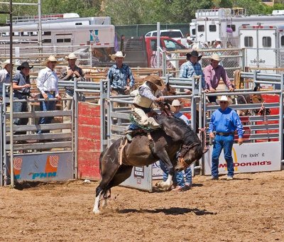 bronc1.jpg