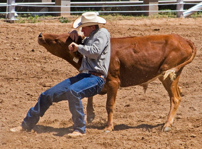 sf2007rodeo