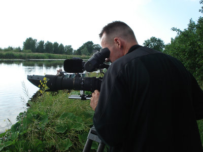 2007 Ralreiger / Squacco Heron