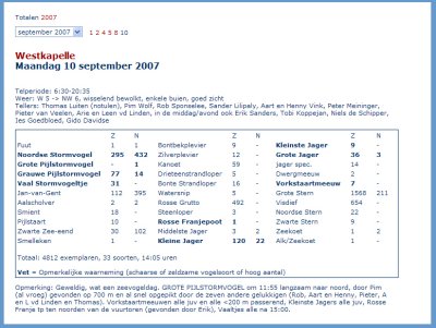 Grote Pijlstormvogel / Great Shearwater (count results sept 10th)
