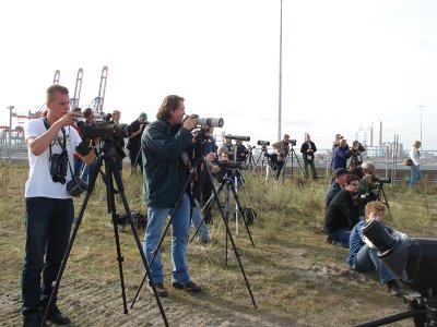 2007 Kleine spotvogel