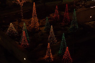 Lights at Temple Square.JPG