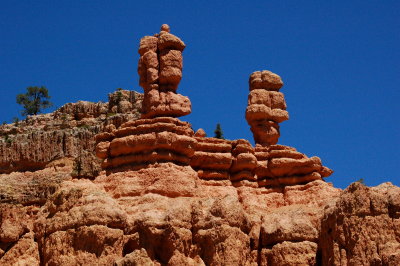 Bryce Canyon Hoodoos.JPG
