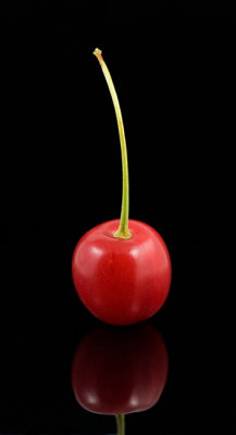 20070729-Cherry003w.jpg
