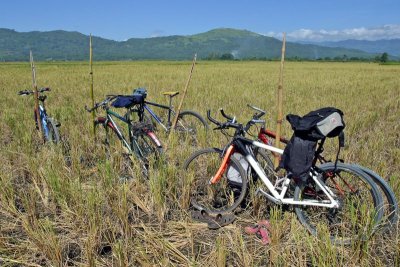 Harvest Mountain Bikes