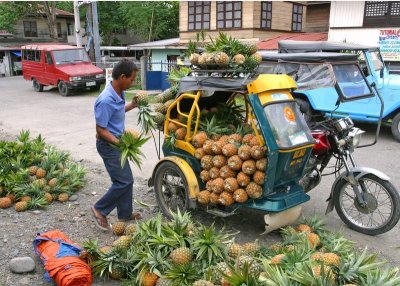 Loading up on cheap Pineapples