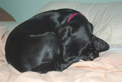on my pillow