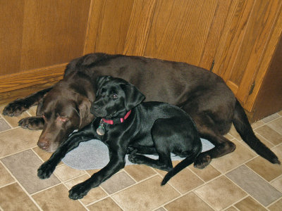 Kitchen supervision