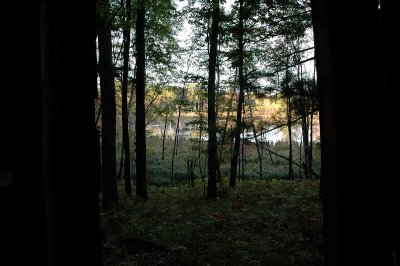 library view.jpg