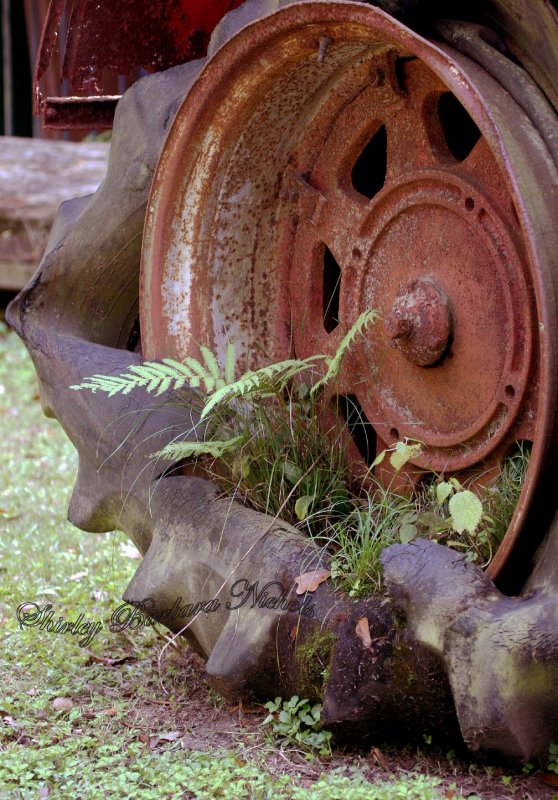 Recycled tractor tire cira 1935.jpg