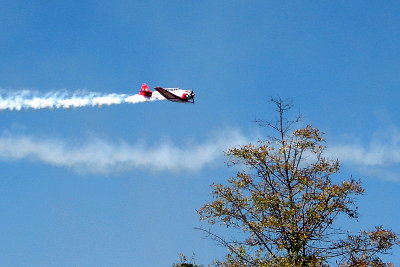 Aerobatics