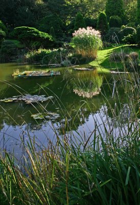 Pines Garden Pond