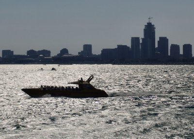 Chicago Skyline #216