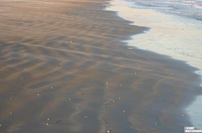 Port Aransas Beach Sand Patterns 1