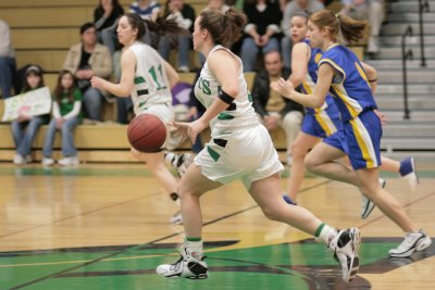 Seton Catholic Central's Girls Varsity Basketball Team versus Oneonta HS in the Section Four Tournament