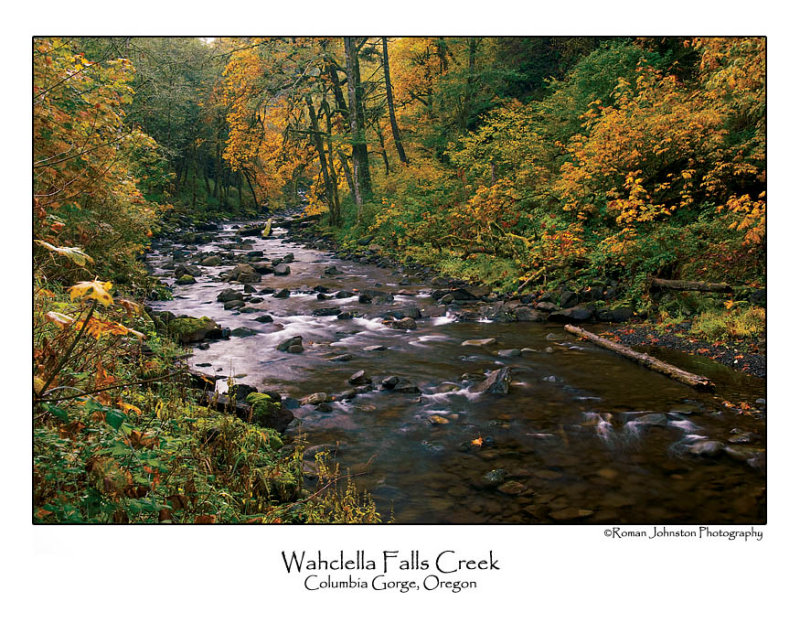 Wahclella Falls Creek.jpg