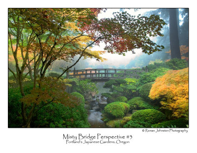 Misty Bridge Perspective 3.jpg