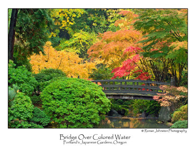 Bridge Over Colored Water.jpg