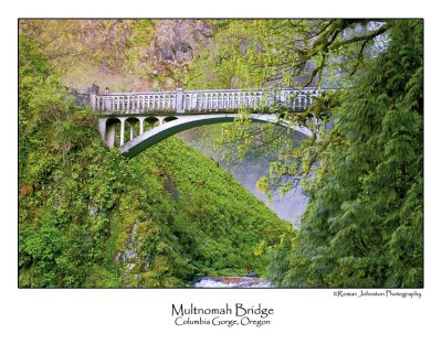 Multnomah Bridge.jpg (Up To 20 x 30)