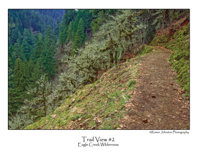 Trail View 2.jpg