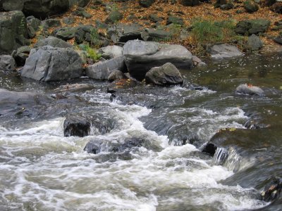 Oslava River 7