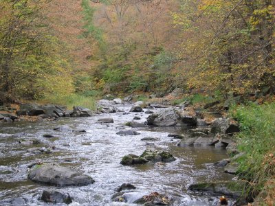 Embrace the nature of autumn by river Oslava