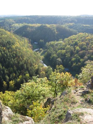 Embrace the nature of autumn by river Oslava