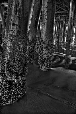 Under the Santa Monica pier