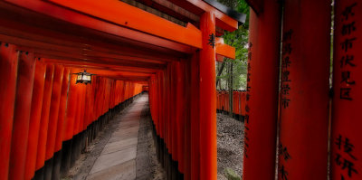 Convergent paths at Fushimi-Inari