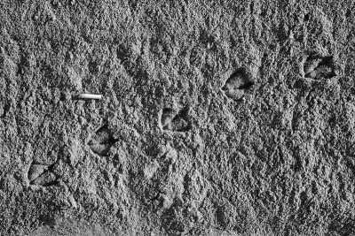 g6/91/43791/3/85681230.iLnZHWSX.jpg