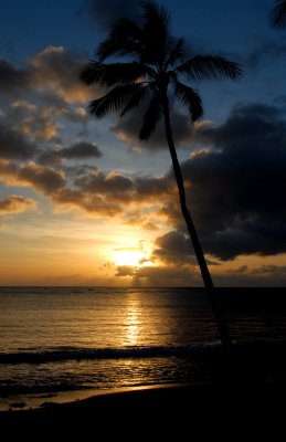 DSC_0061.jpg