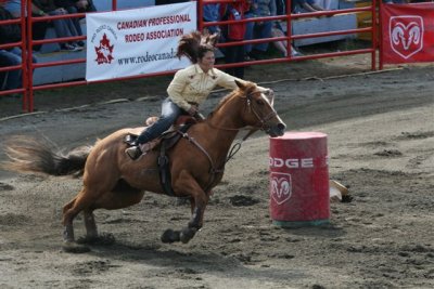 IMG_9627.jpg