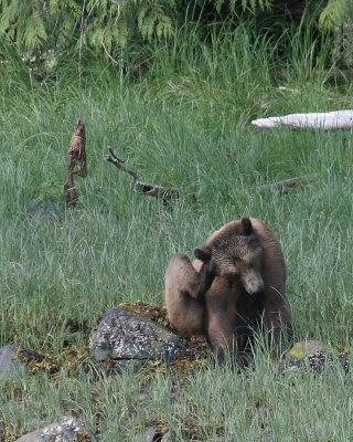 Mother Takes a Break -_0175.JPG