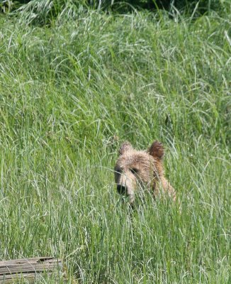 Rest Time - IMG_0227.JPG